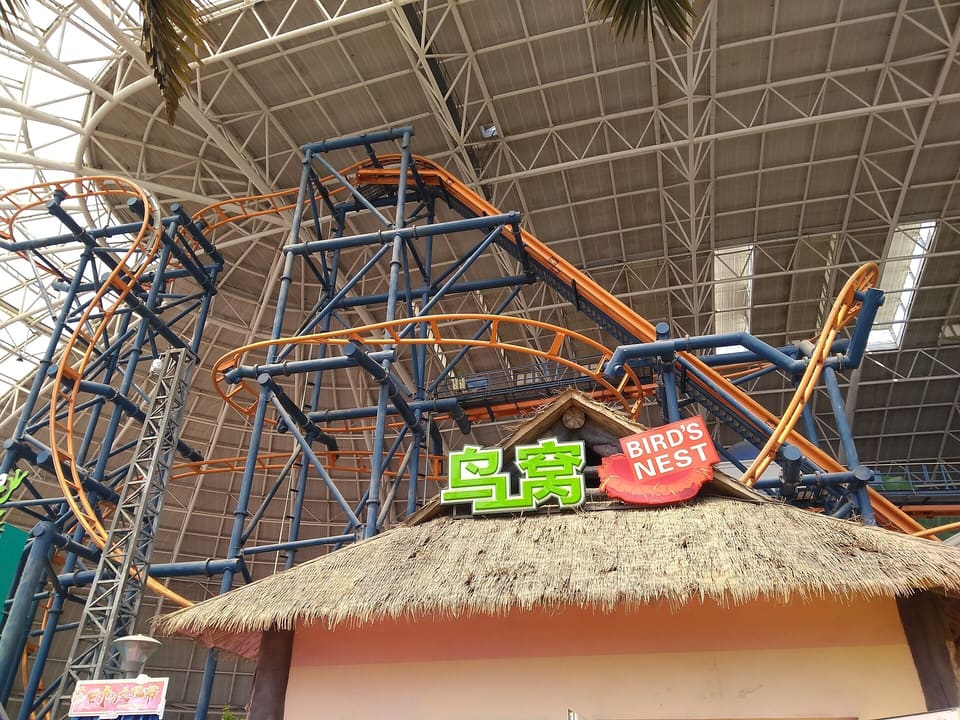 Crazy Bird — El Loco, Happy Valley Tianjin