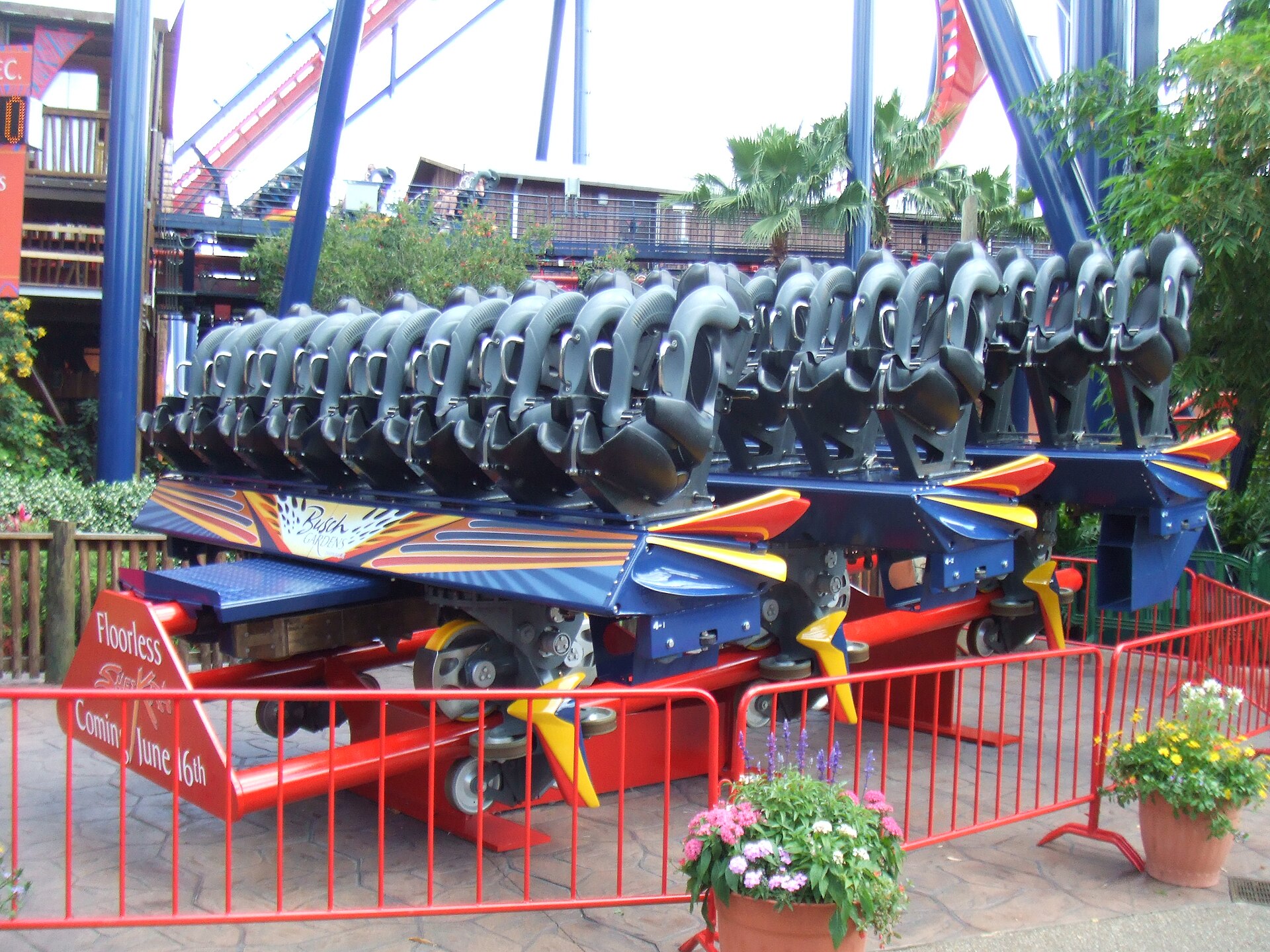 SheiKra — Dive Coaster, Busch Gardens Tampa Bay