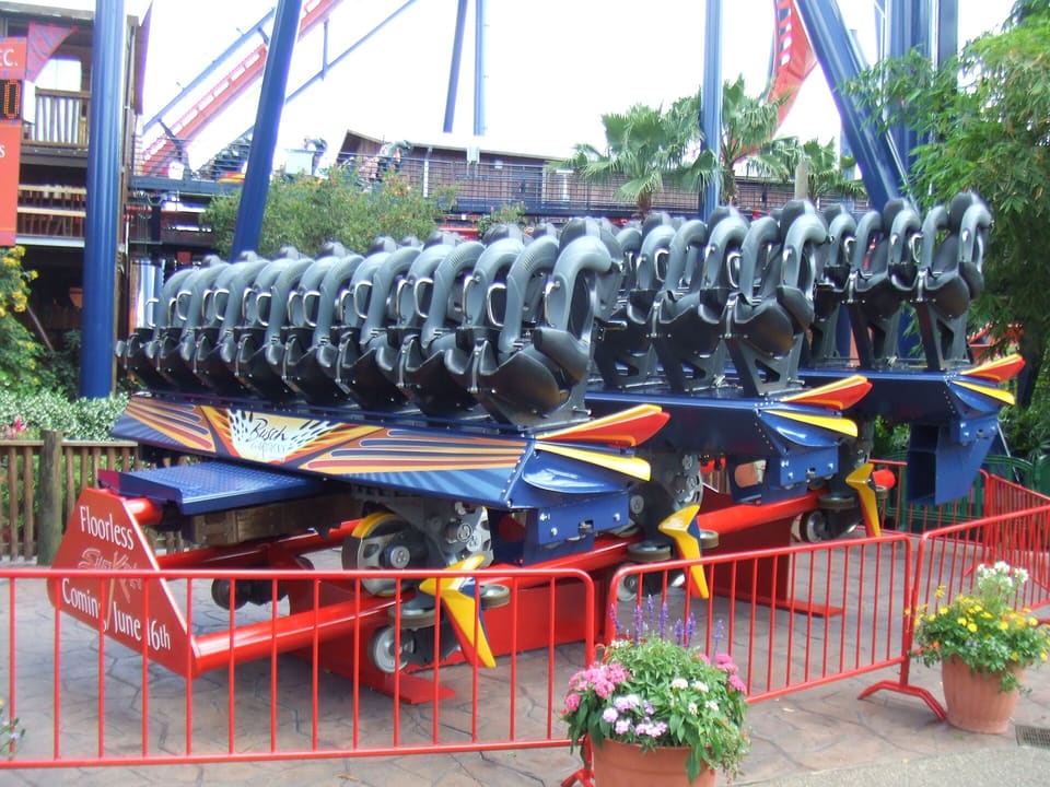 SheiKra — Dive Coaster, Busch Gardens Tampa Bay